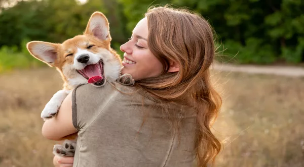 ¿Cuáles son las obligaciones legales que tengo con mi mascota?