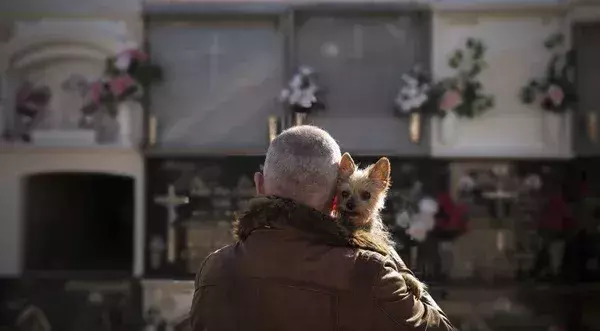 Ley de cementerios municipales: todo lo que tienes que saber